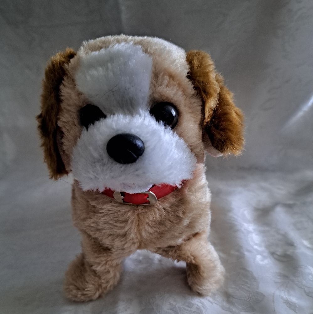 Somersault  Dog Toy - Gold and White